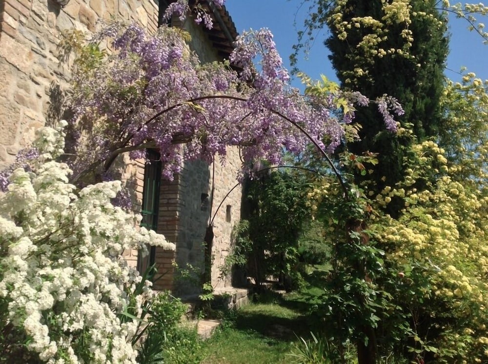 Photo 32