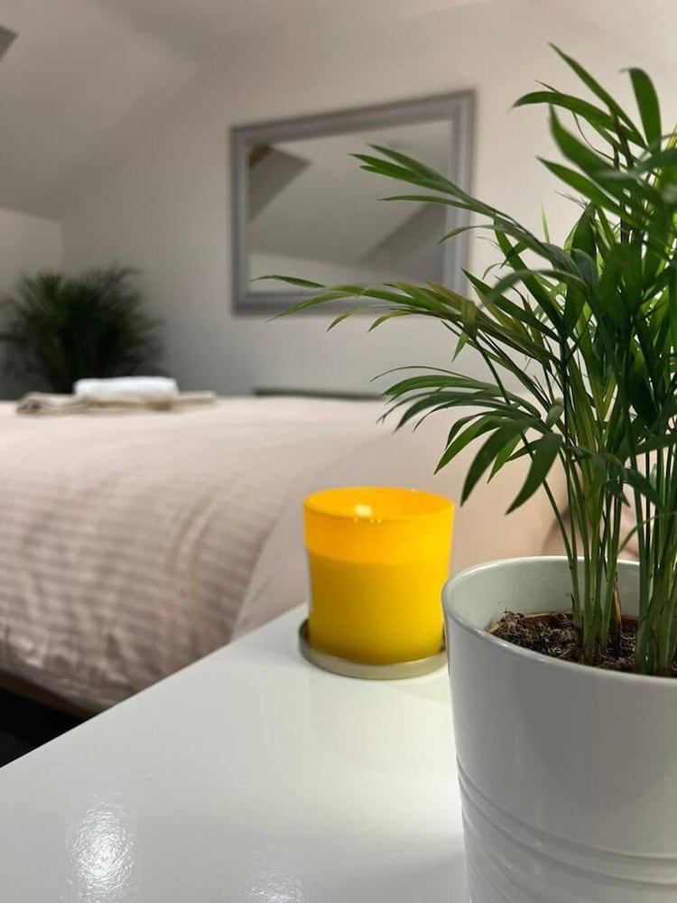 Jacuzzi Spa! Stunning Entire Guest House - Netflix view 3