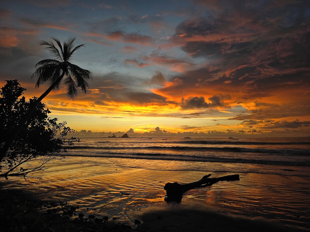 Jungle River Resort - Adults Only