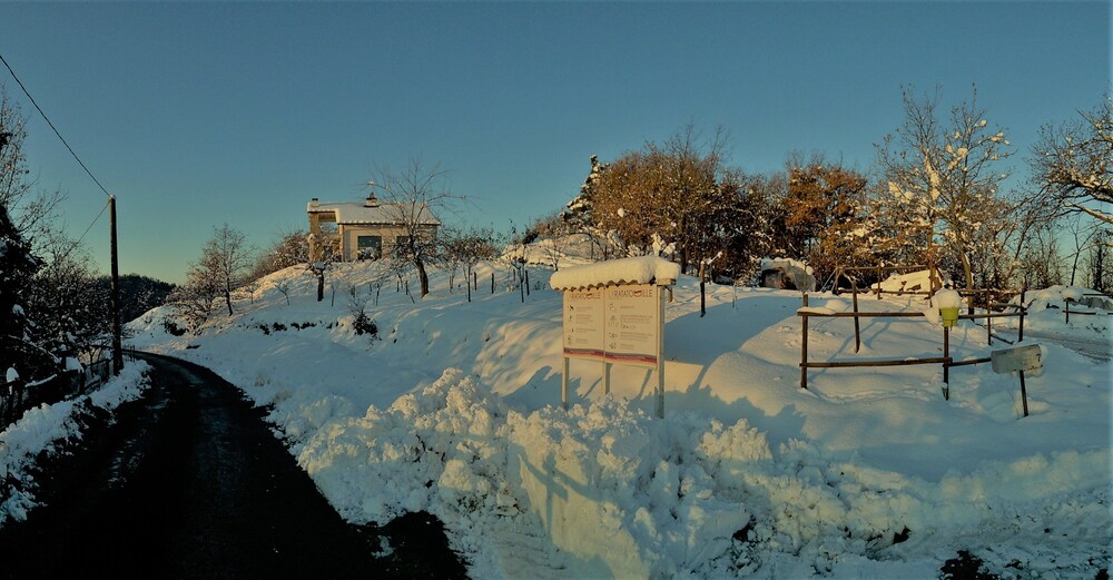 Photo 15