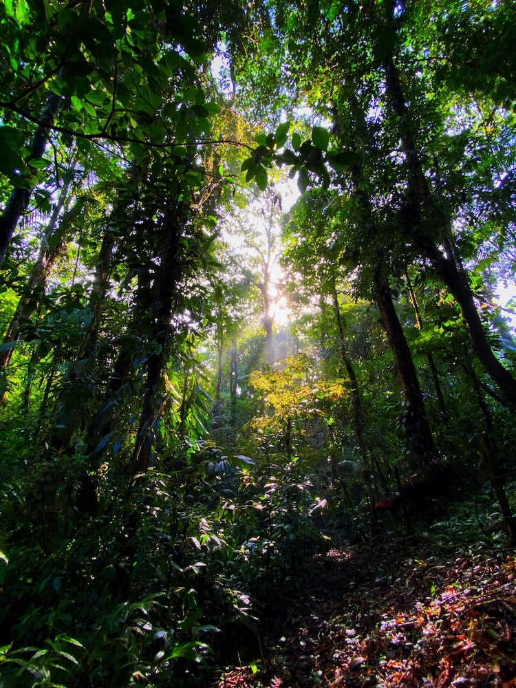 Las Arrieras Nature Reserve