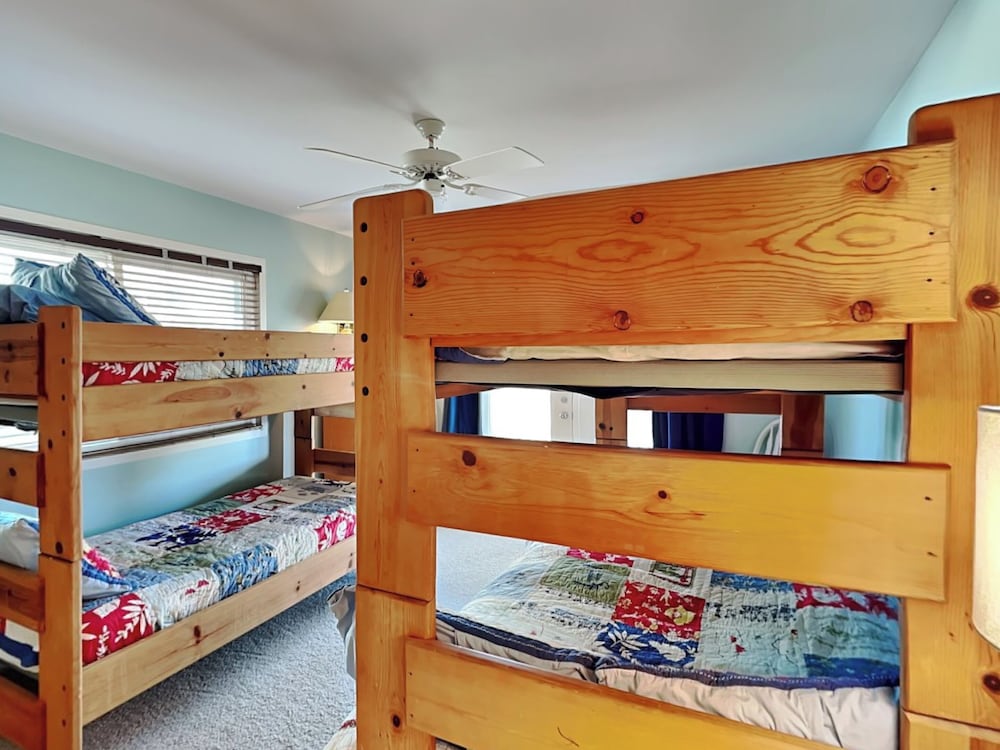 The Shell Collector by Topsail Realty