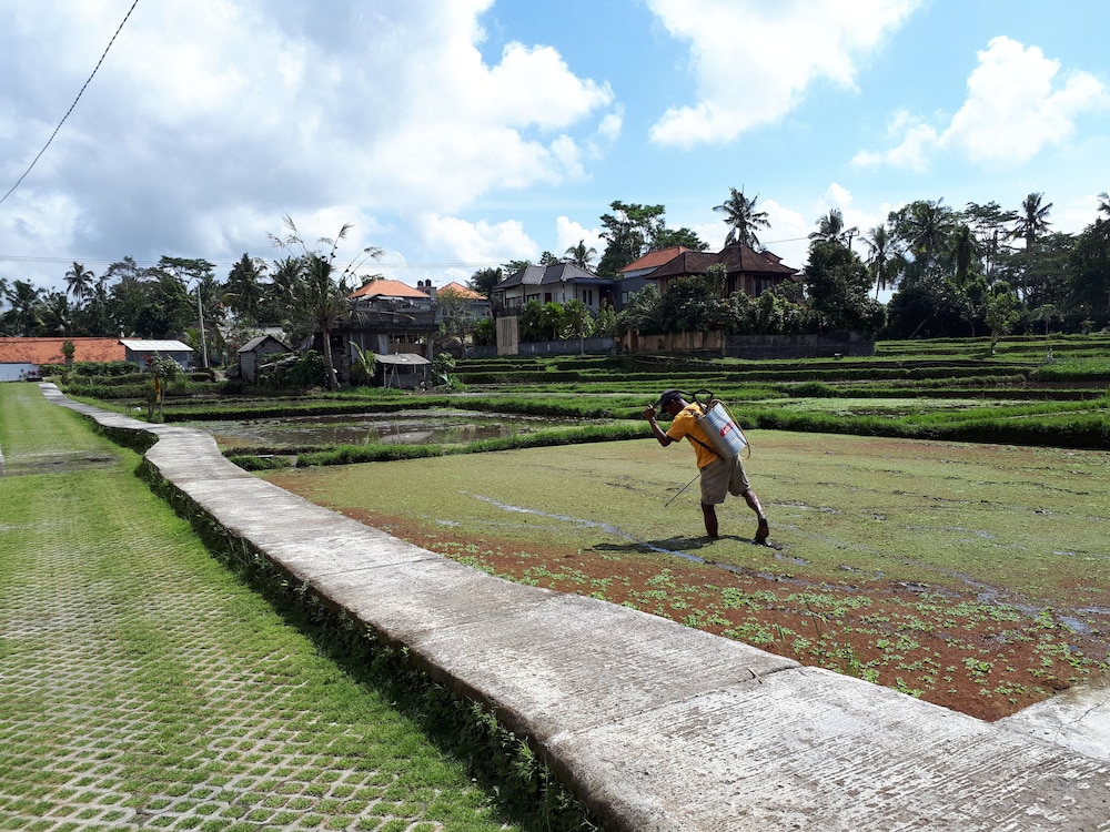 Villa Kirani Ubud