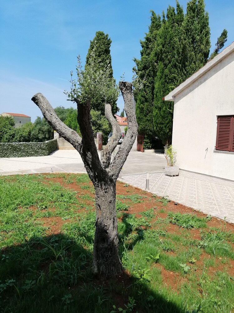 Photo 24