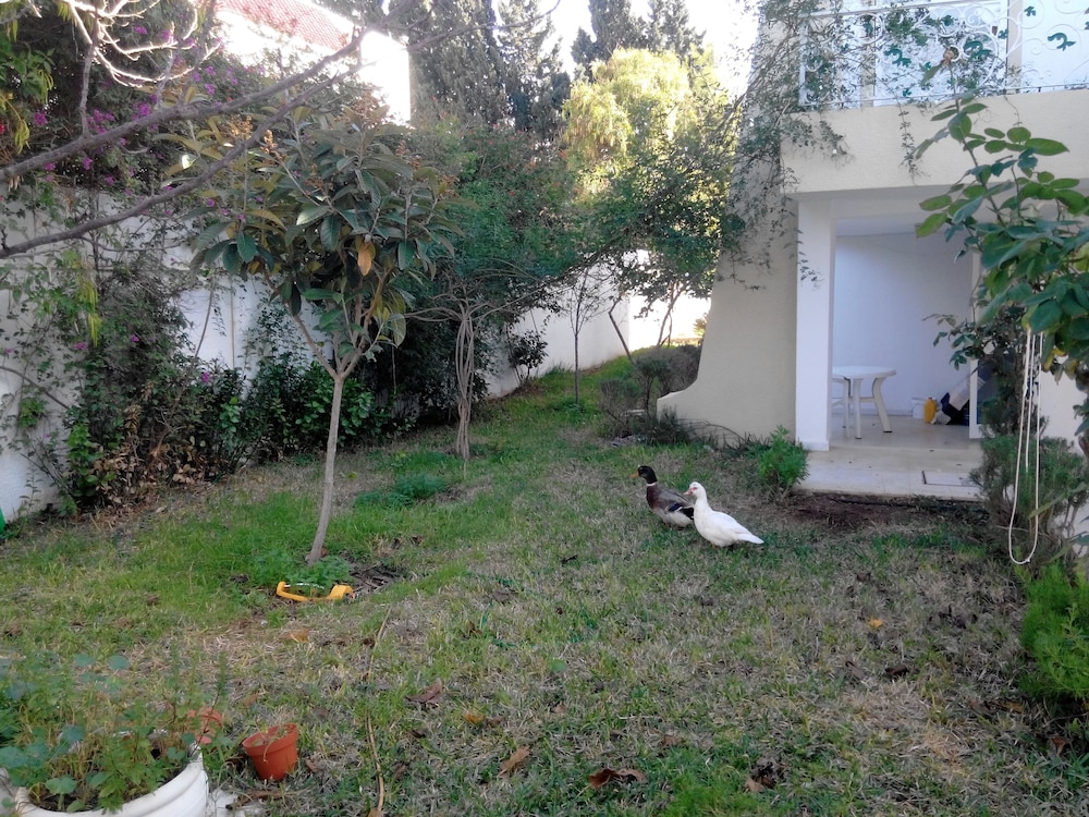 Photo 17
