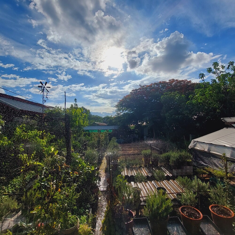 Baan Baan Hostel