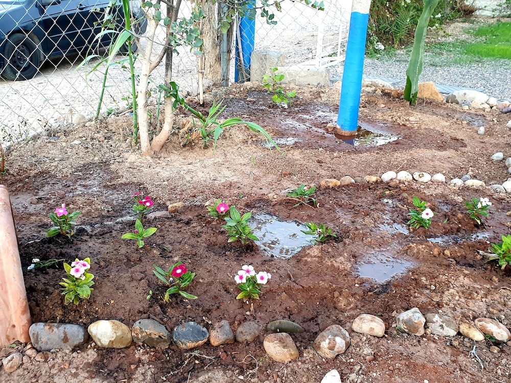Photo 18