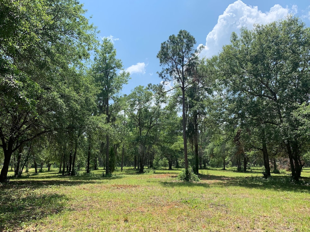 Comfy Camping At The Forge - Property Image 13