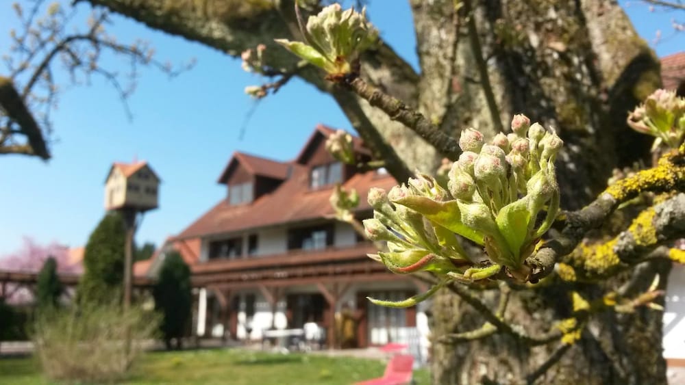 Pension Aufeld view 5