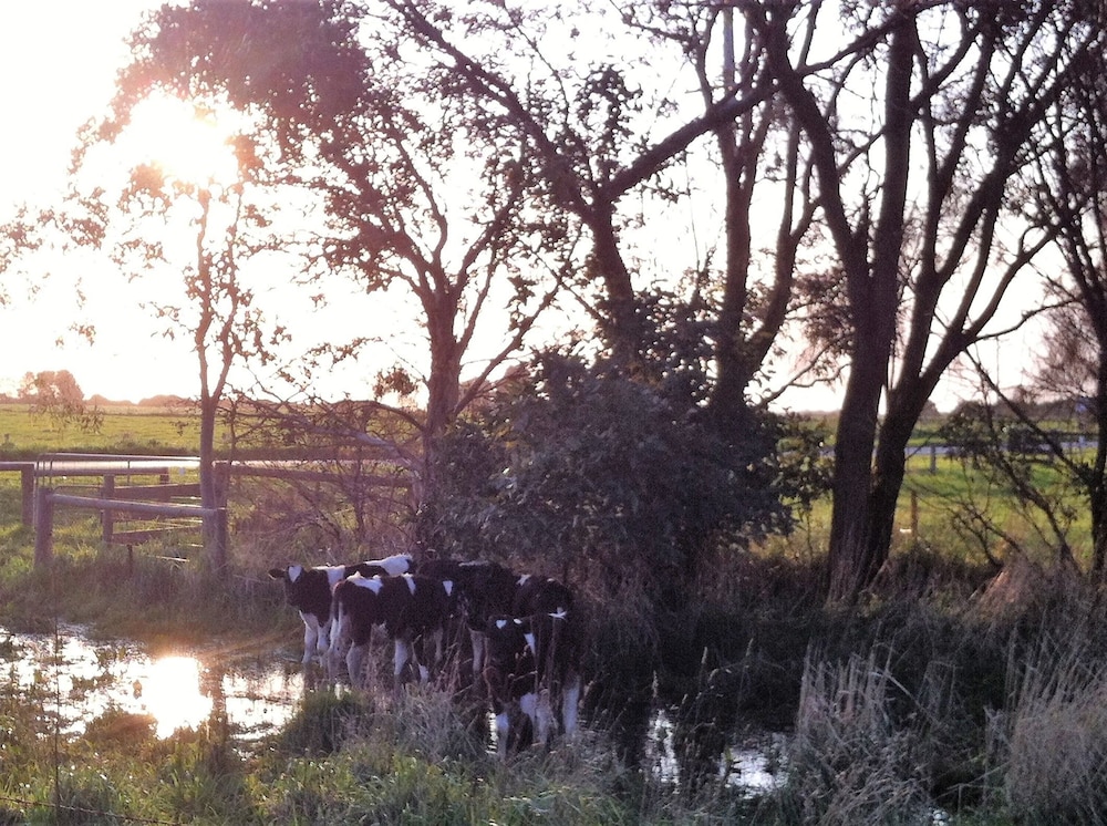 The Estate Koroit Boutique Hotel