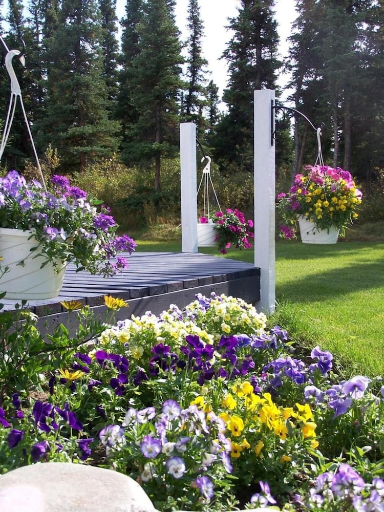 Denali Primrose B&B