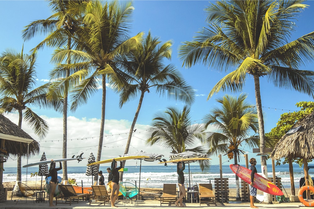 Jaco Surf Camps by Selina Surf Club - Hostel