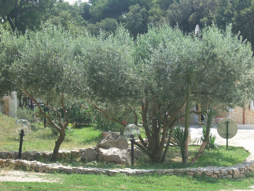 Camping La Montagne