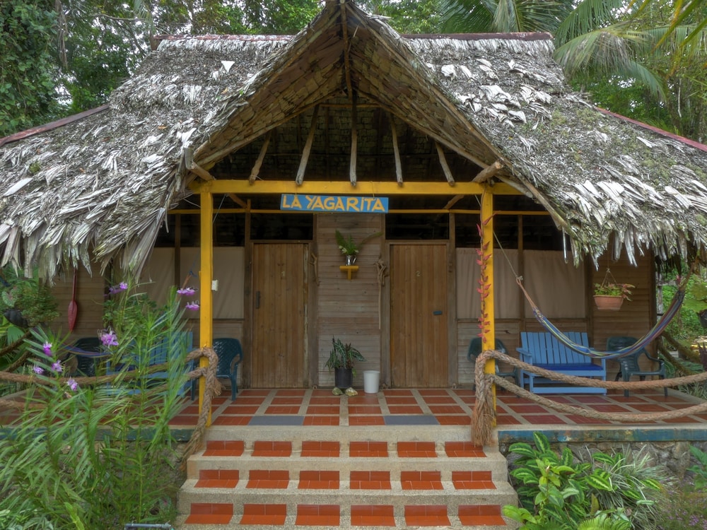 Photo 21