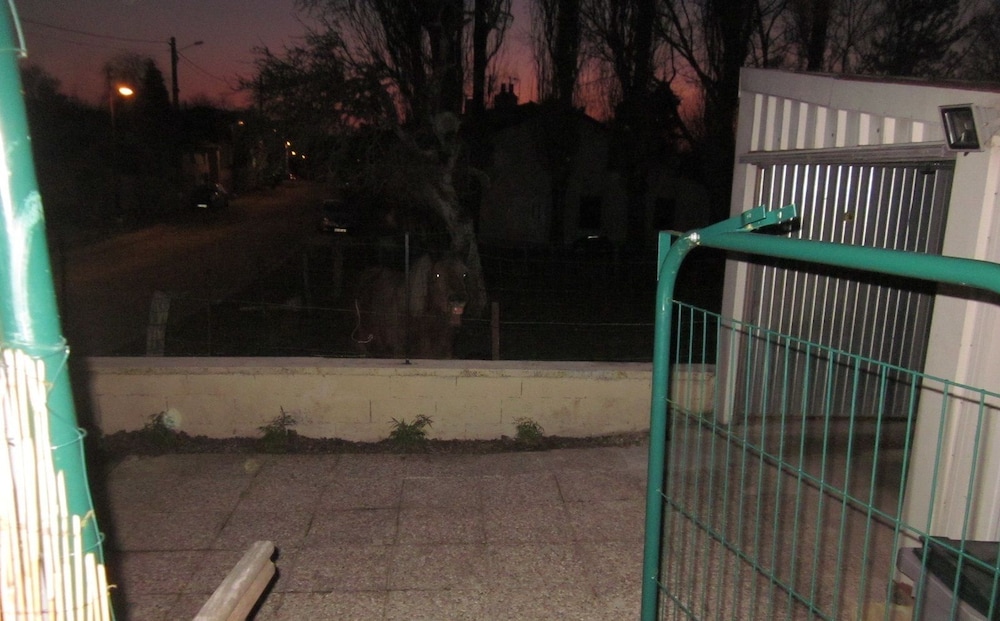 Photo 69
