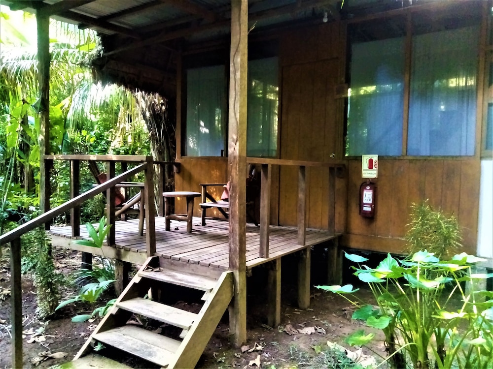 Photo 7