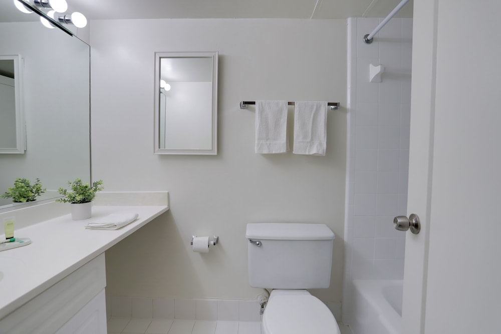 Serene DC-Area Apartments