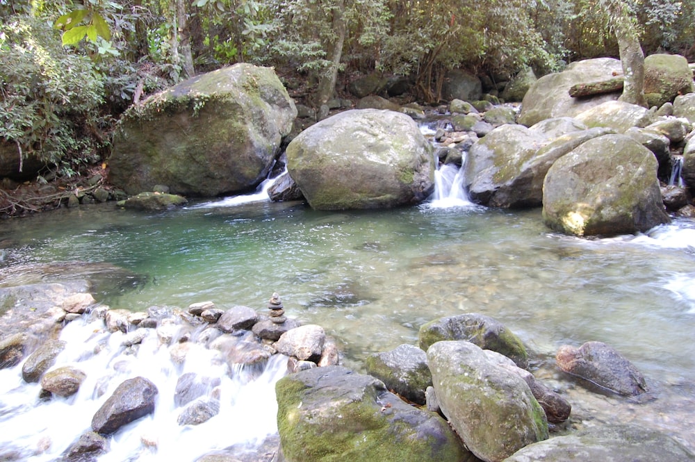 Photo 47
