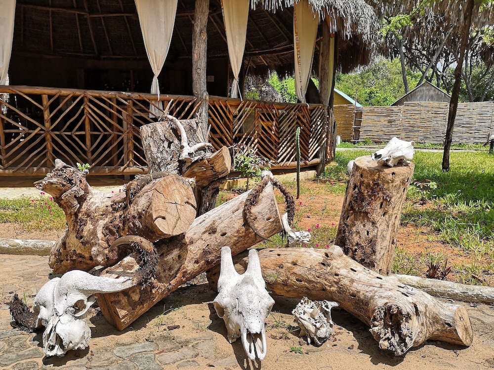 Africa Safari Selous