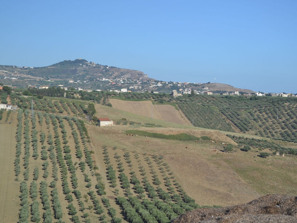 Holiday Home in Sciacca With Pool & Garden photo 3