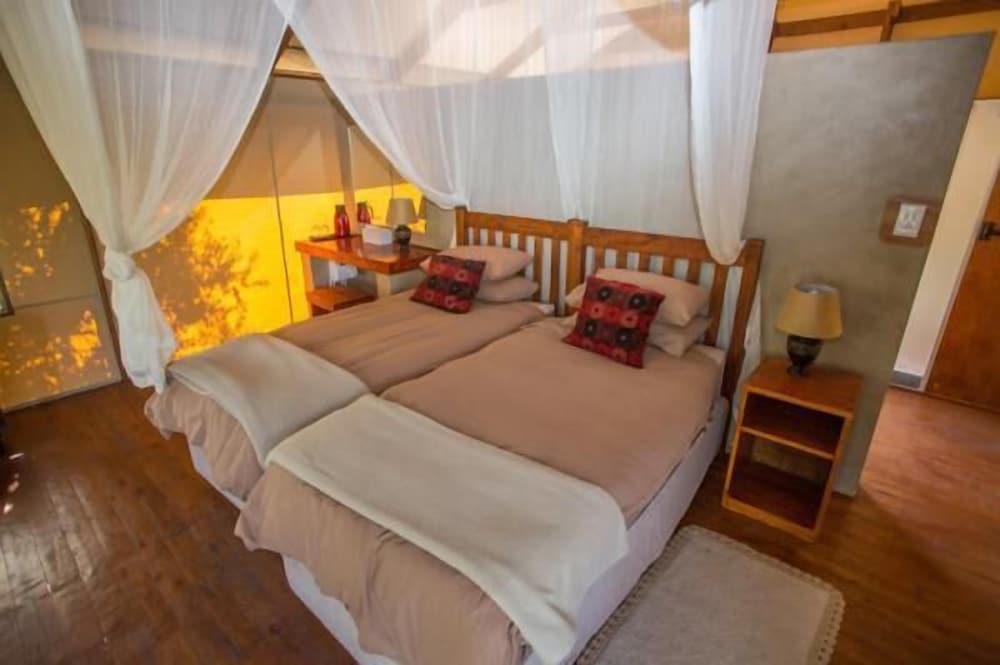 Lion Tree Top Lodge
