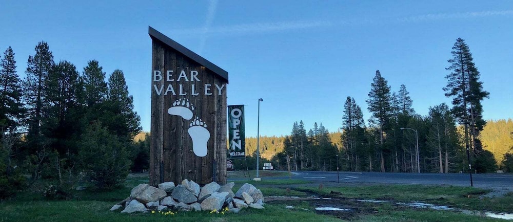 Cozy Condo With Fireplace - Tamarack #3 1 Bedroom Condo by Bear Valley Vacation Rentals