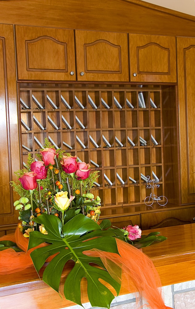 Hotel Plessas Palace