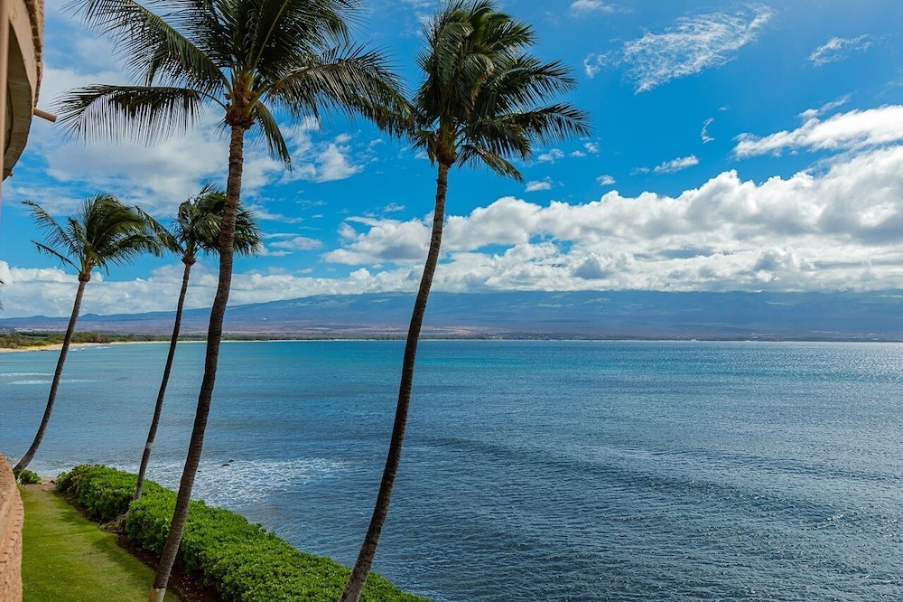 Photo 85