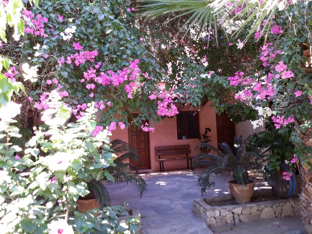 Photo 14