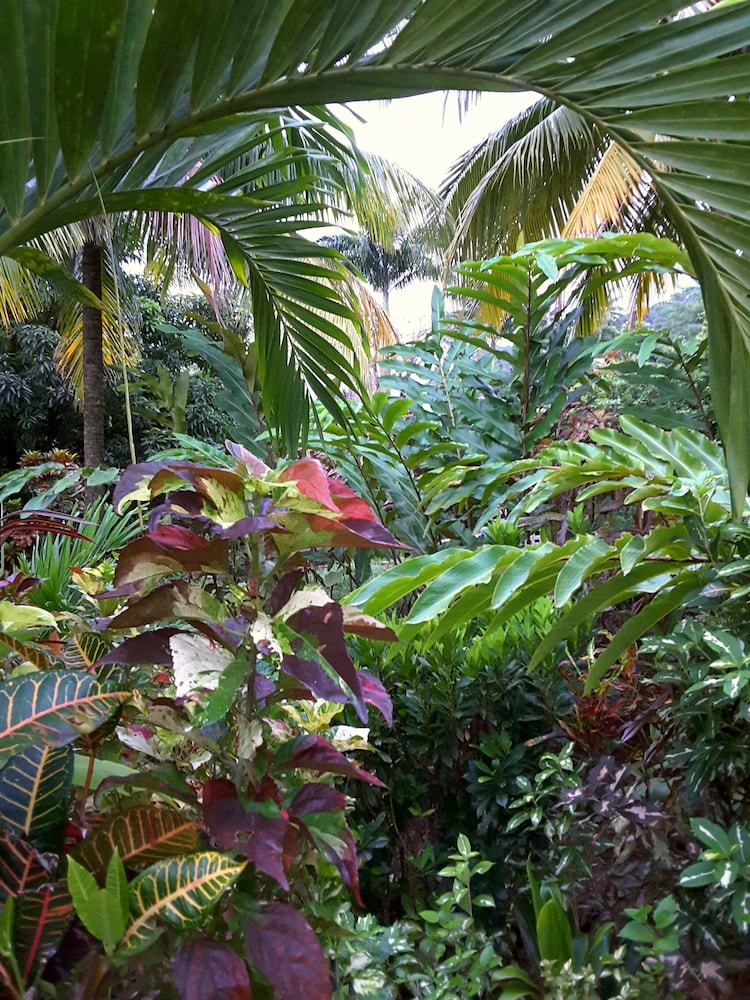 Hibiscus Valley Inn