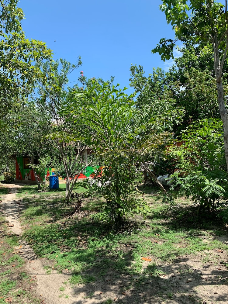 Palmento Grove Eco Cultural & Fishing Lodge