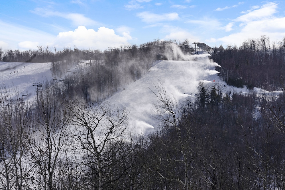 Wintergreen Condos