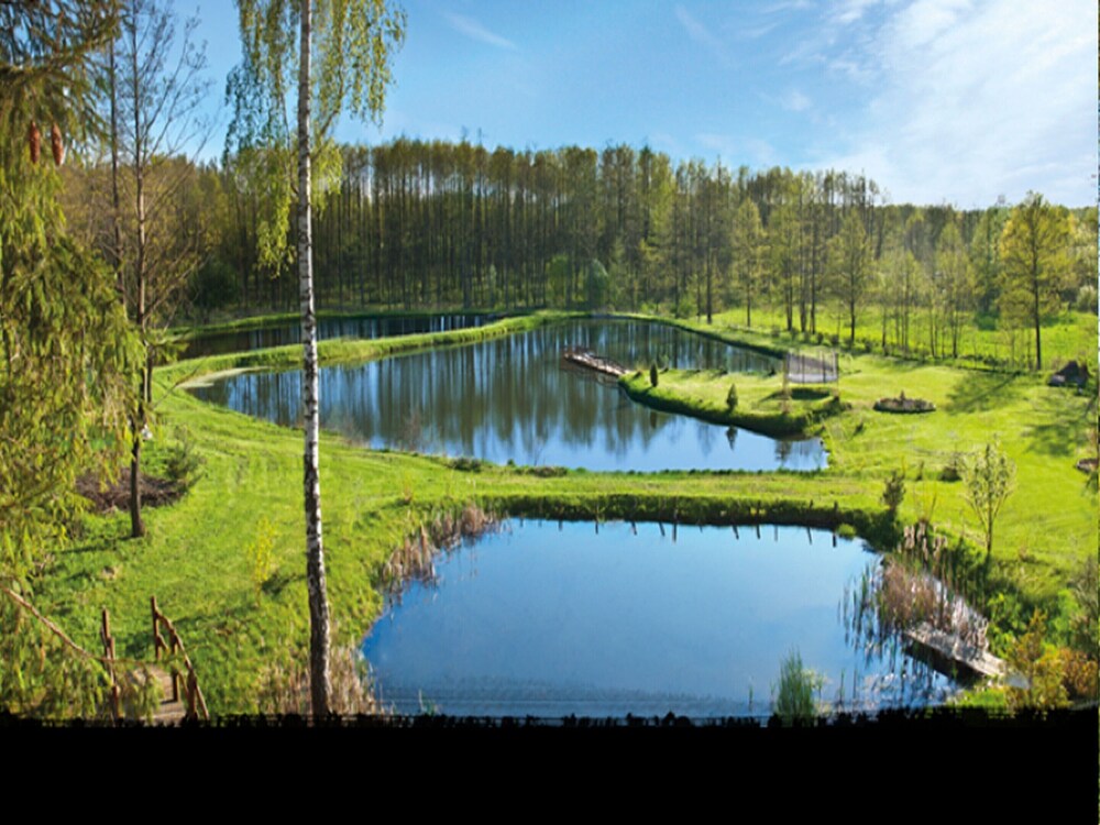 Countryside Escape With Sauna view 3