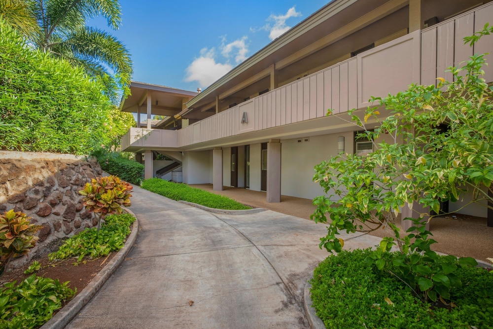 Maui Eldorado MEL-A107 by KBM - Image 1