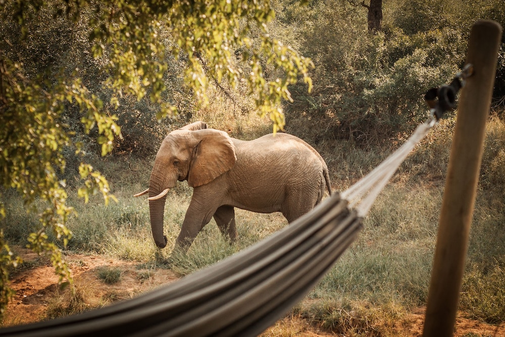 Garonga Safari Camp