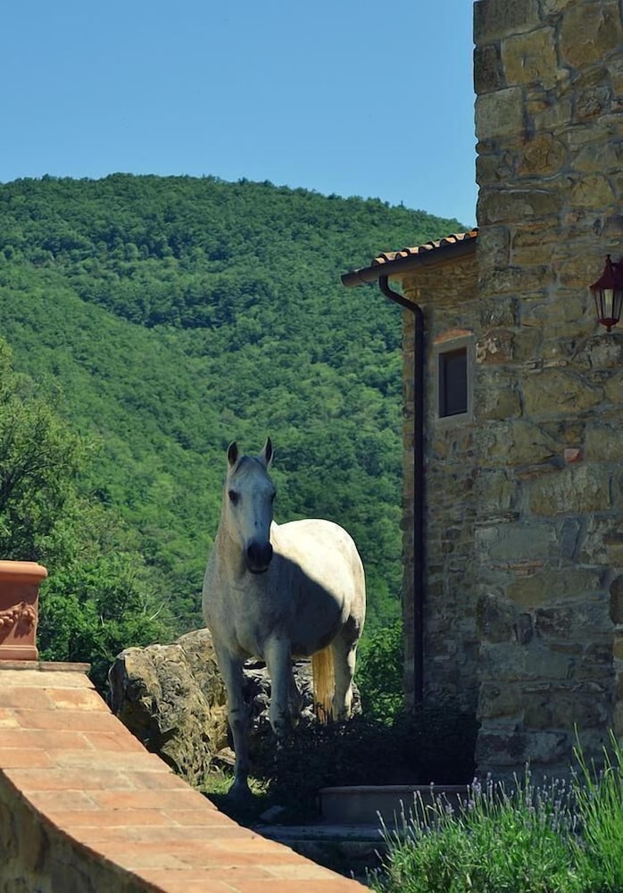 Dimora il Prato