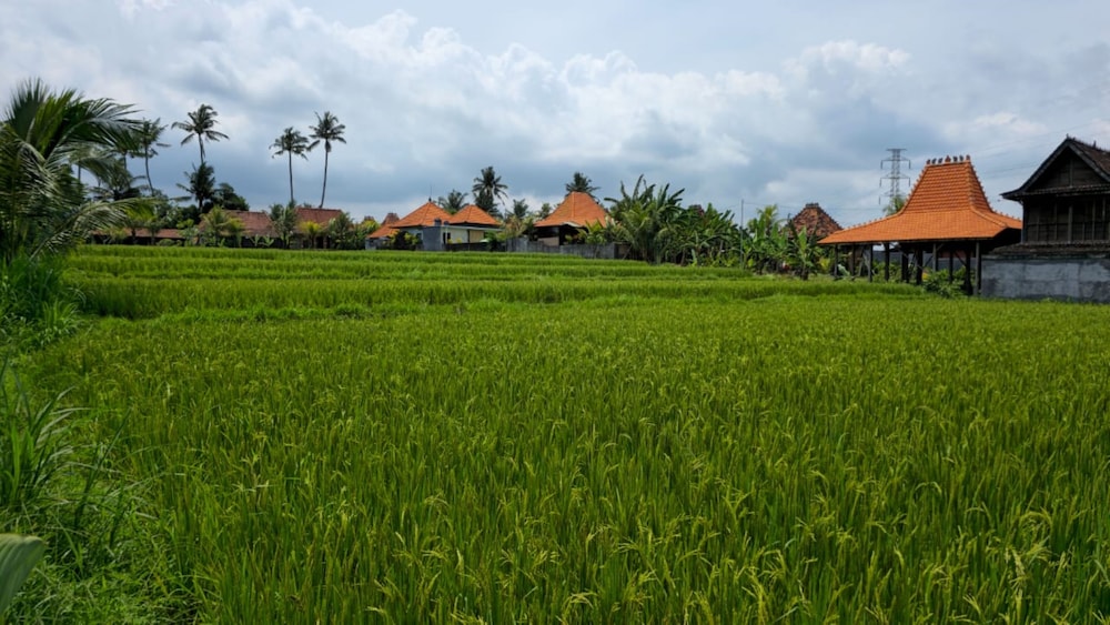 Adyatma Ubud