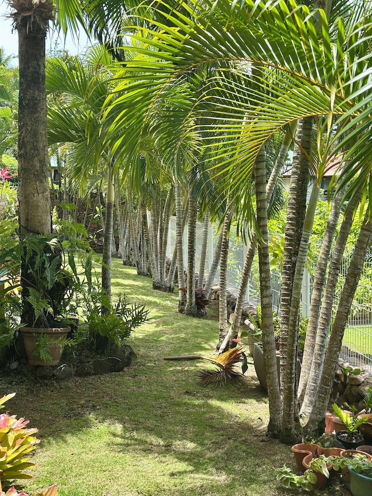 Villa Alana