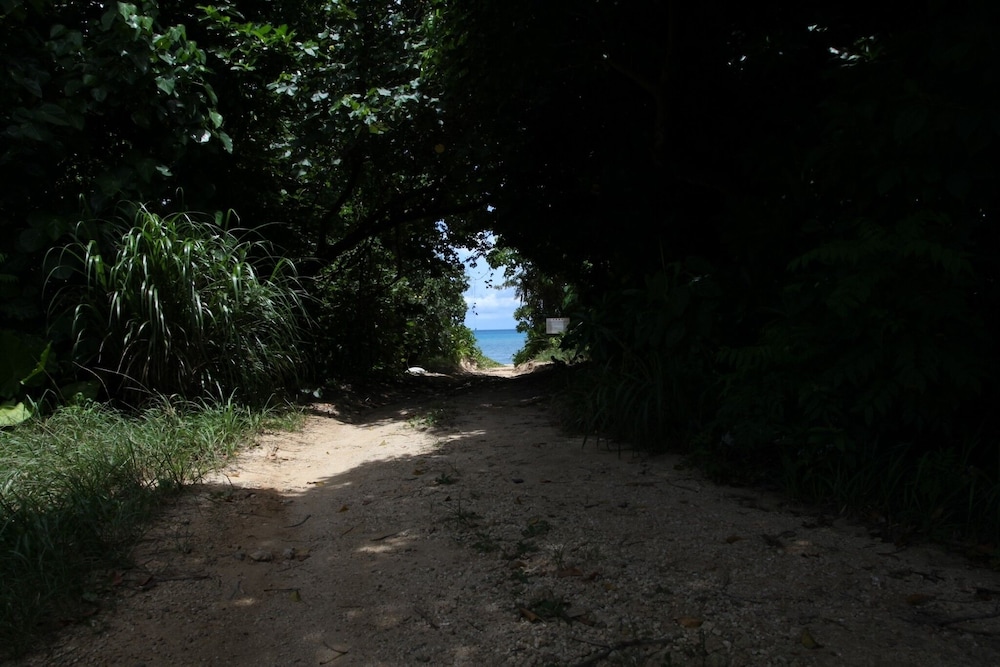Photo 23