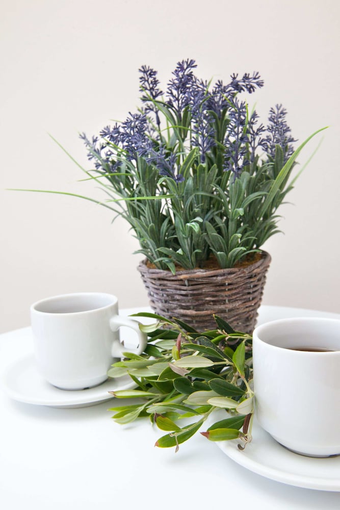 Nammos Sunset photo 2