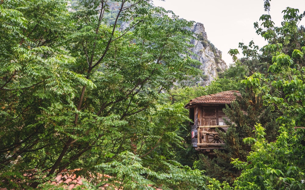 Kadir's Tree Houses