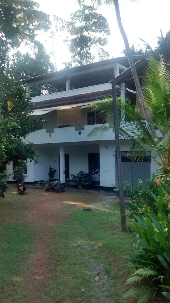 Jungleside House