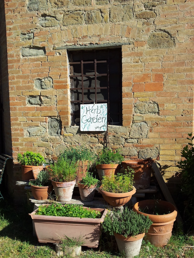 Bassetto Guesthouse & Apartments