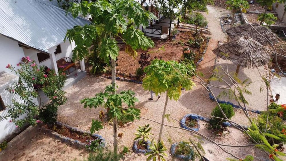 Photo 13