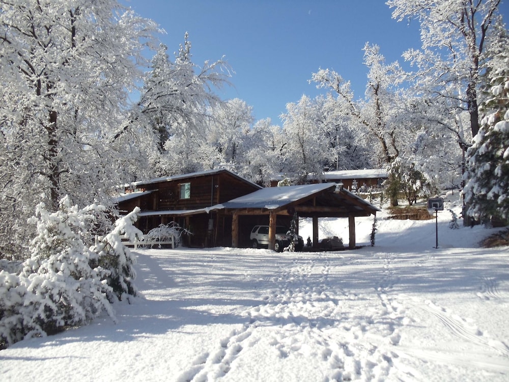 Evergreen Haus