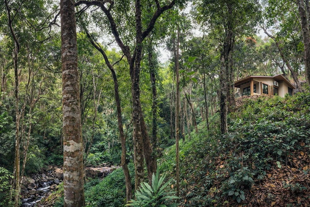 Nirjhara Coorg