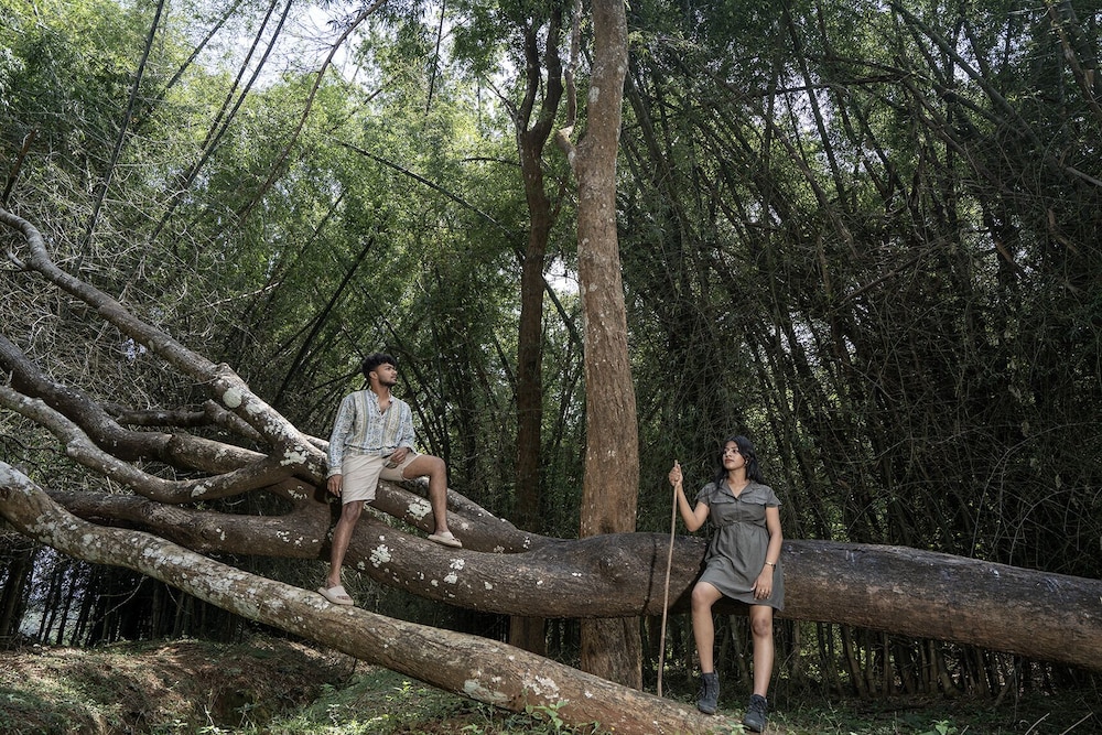 Crystal Kuruva Nature Resort & Spa