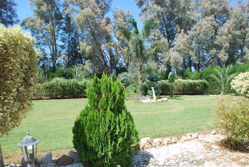 Photo 43