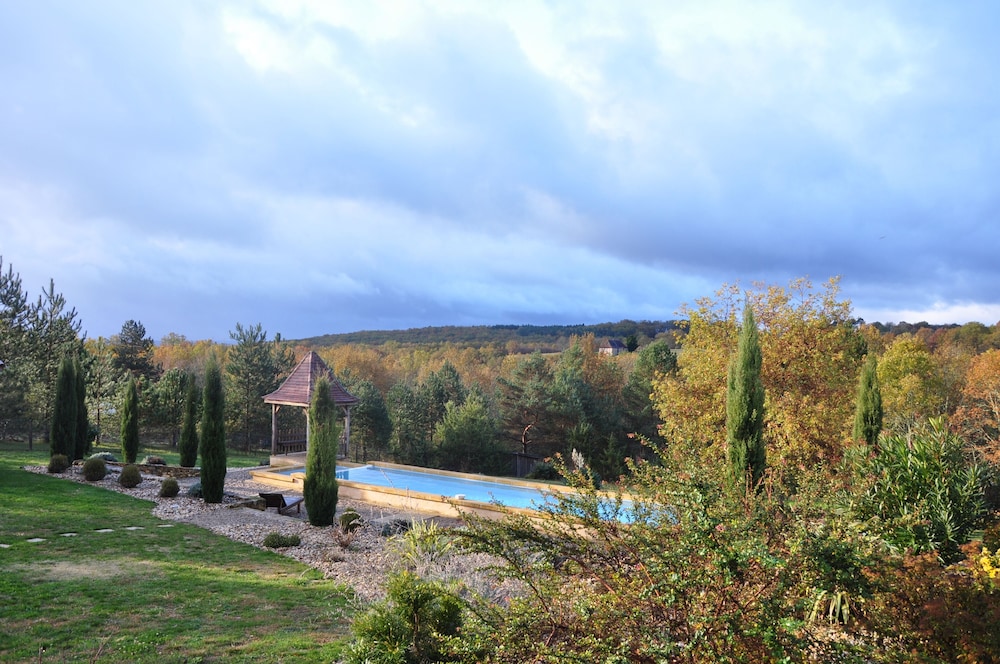 Le Lion d'Or view 4