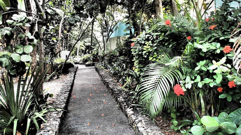 Flamboyan on the Bay Resort and Villas